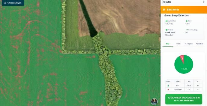 Green snap detection map after a wind event
